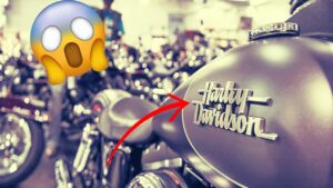 Harley Davidson X440 ક્રૂઝર બાઇક માત્ર ₹28,000 ની ડાઉન પેમેન્ટ પર ઘરે લાવો